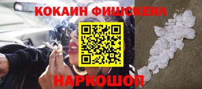 индика Можга