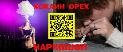 индика Можга