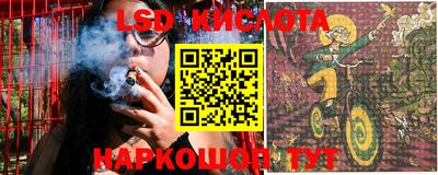 индика Можга