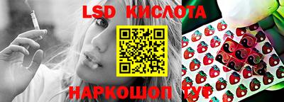 индика Можга