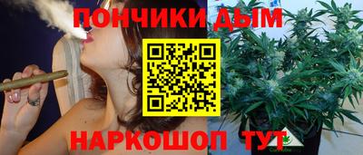 индика Можга