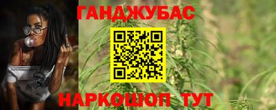 индика Можга