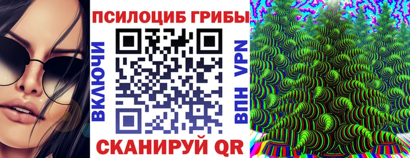 Псилоцибиновые грибы GOLDEN TEACHER  наркошоп  Чапаевск 