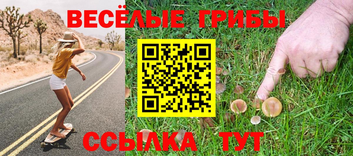 Галлюциногенные грибы прущие грибы  Вход с VPN  Чапаевск 